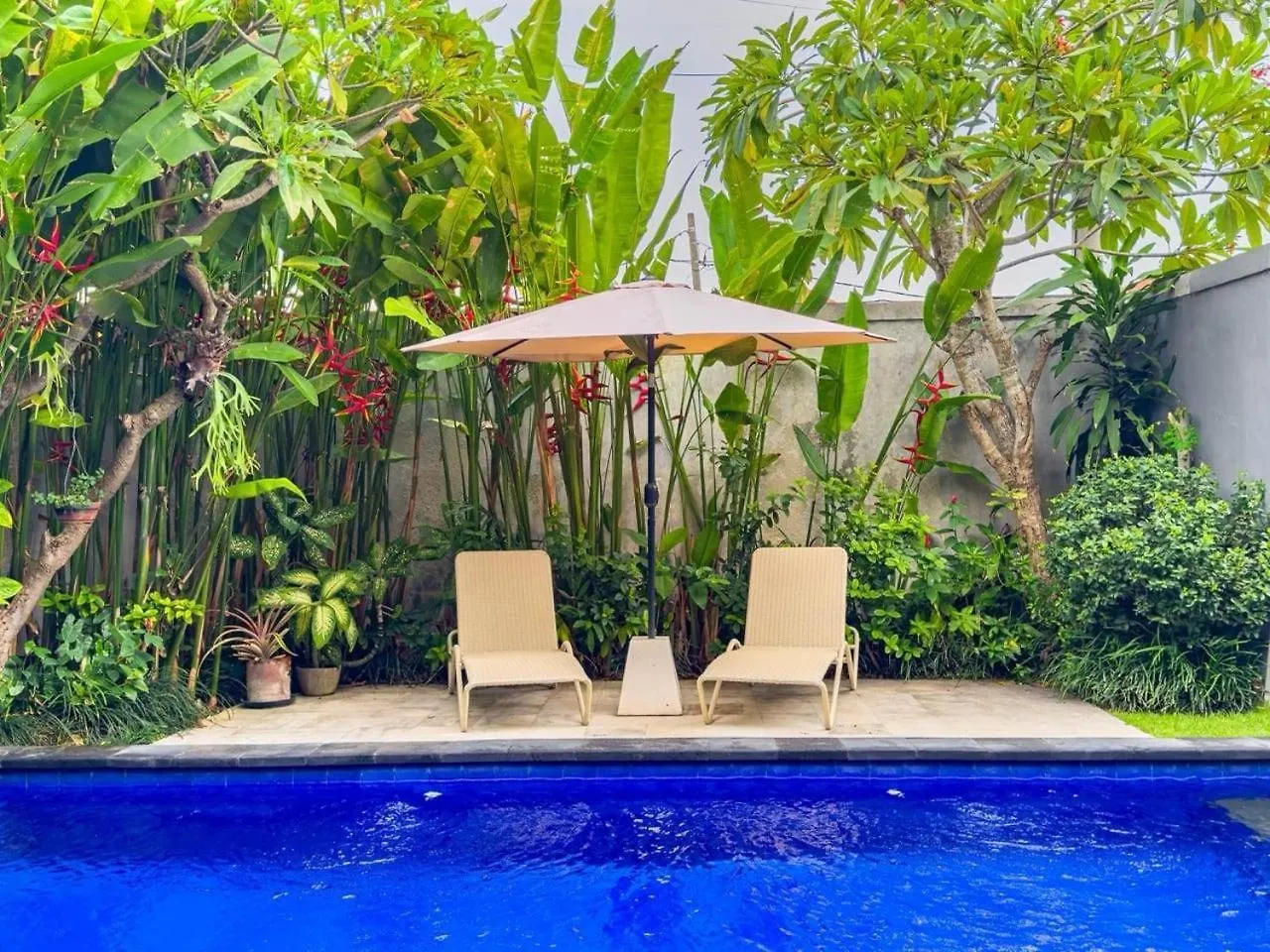 3 Bed Tropical Villa With Private Pool Canggu   Canggu (Bali)